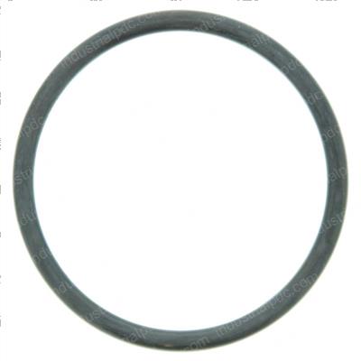 Picture of O-Ring