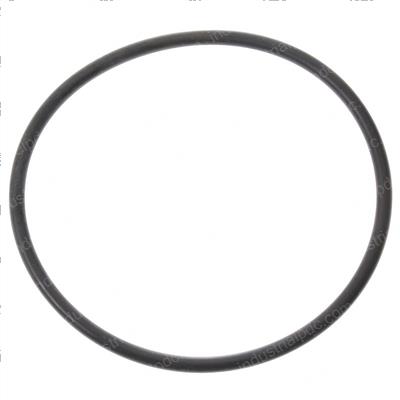 Picture of O-Ring - Filter to Tank