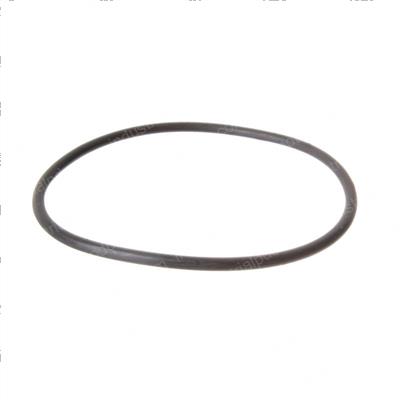 Picture of O-Ring