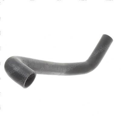 Picture of Hose - Lower