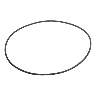 Picture of O-Ring