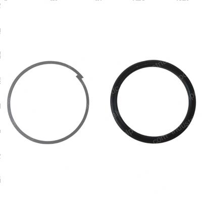 Picture of T Seal  Piston