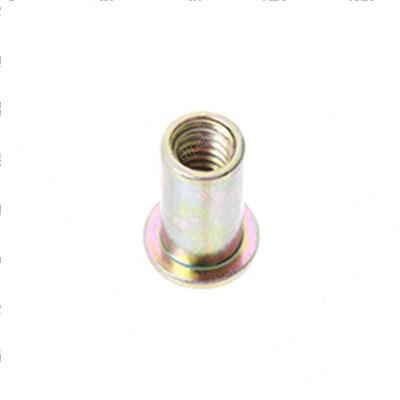 Picture of Fastener 1/4-20 (rivnut)