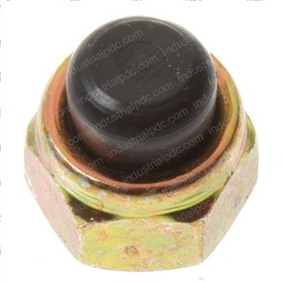 Picture of Fastener Nut Nylon Lock 5/16