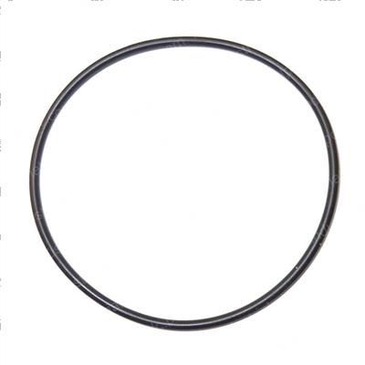 Picture of O-Ring