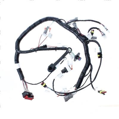 Picture of Main Harness