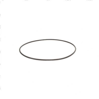 Picture of O-Ring