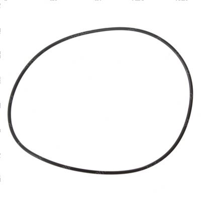 Picture of O Ring