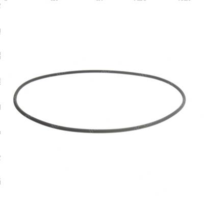 Picture of O-Ring