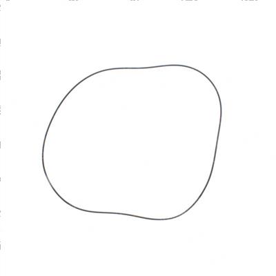 Picture of O-Ring