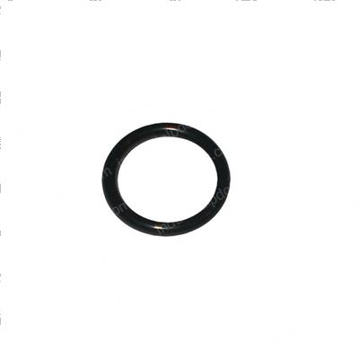 Picture of O-Ring