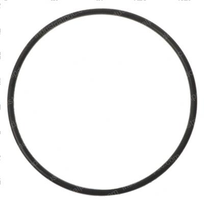 Picture of O-Ring