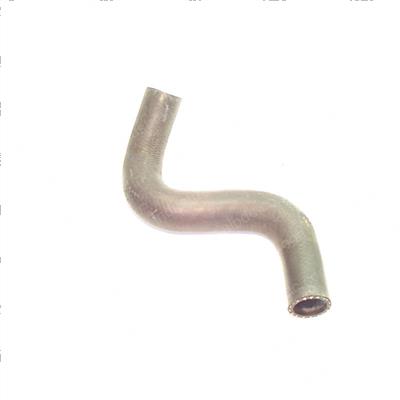 Picture of Hose - Radiator Lower
