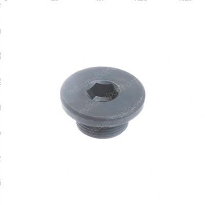 Picture of Plug