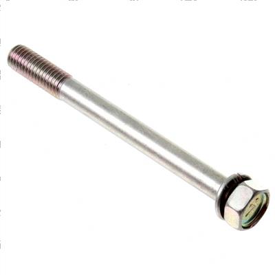 Picture of Bolt