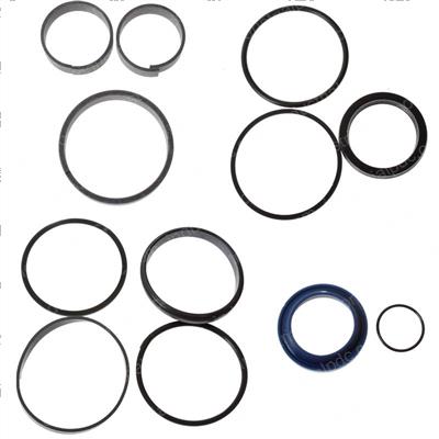 Picture of Seal Kit 2002 Lift Cylinder