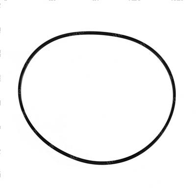Picture of Seal
