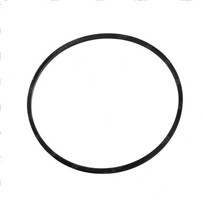 Picture of Seal