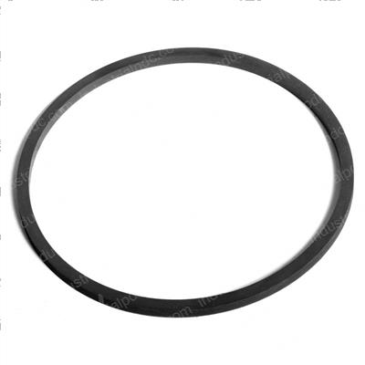 Picture of Seal