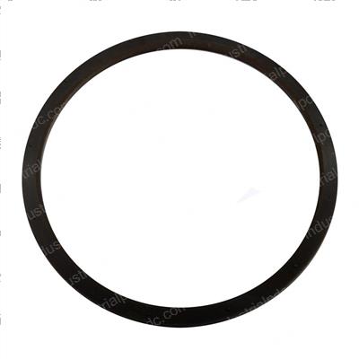 Picture of Seal