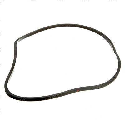 Picture of Seal
