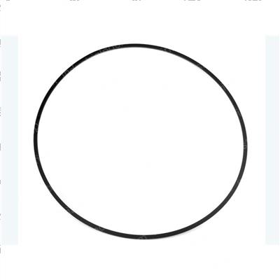 Picture of Ring-Inner Pist
