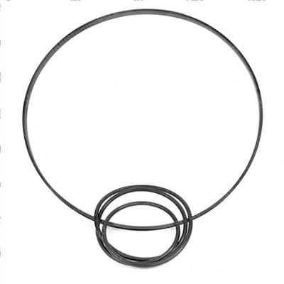 Picture of Seal