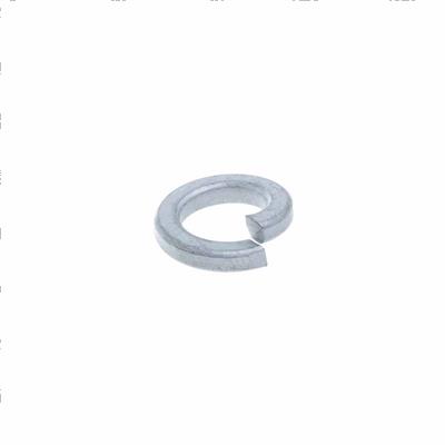 Picture of Washer-Spring
