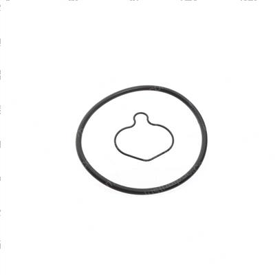 Picture of O-Ring for Single