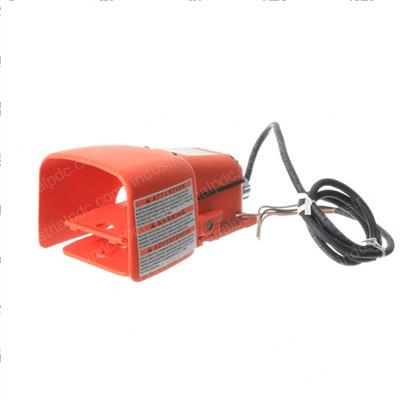 Picture of Switch - Foot
