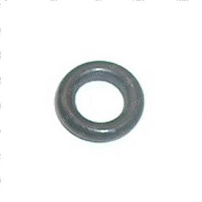 Picture of O-Ring