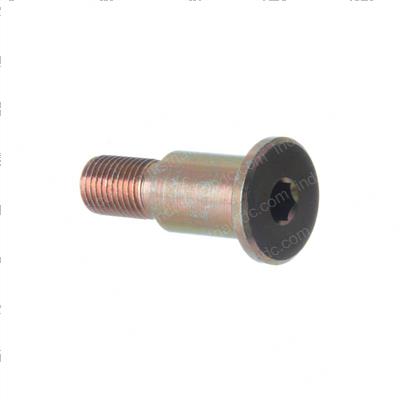 Picture of Bolt Roller-Short Stem .63