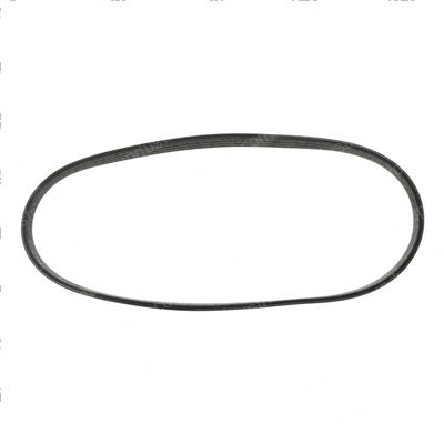 Picture of Belt - Serpentine