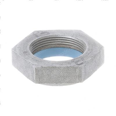 Picture of Nut