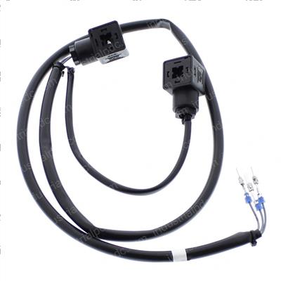 Picture of Wiring Harness