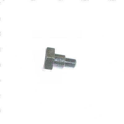 Picture of Bolt - Shoulder - Hex