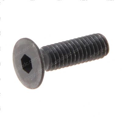 Picture of Screw-Fhscs-M4-0.7x14 Cl10.9