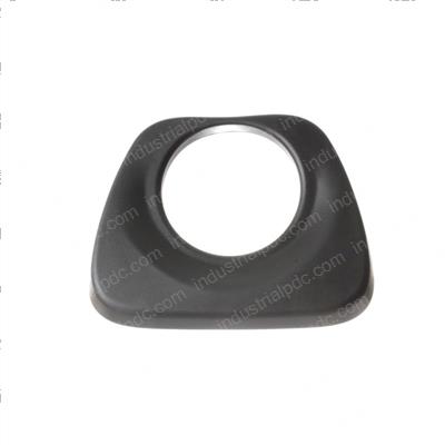 Picture of Cushion
