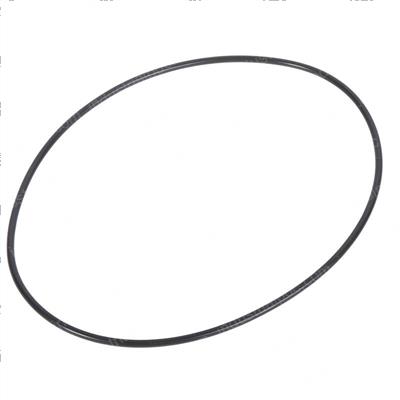 Picture of O-Ring