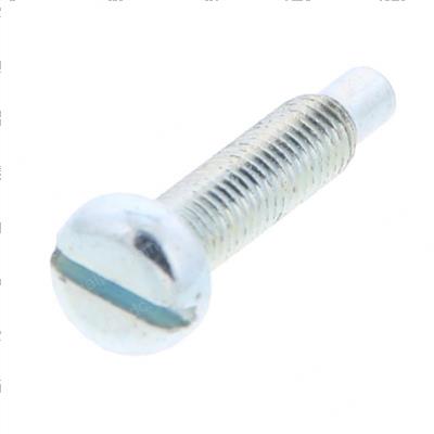 Picture of Screw