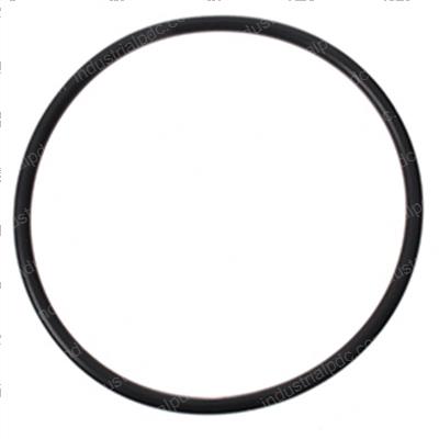 Picture of O-Ring