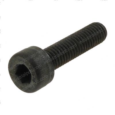 Picture of Bolt