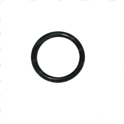 Picture of O-Ring