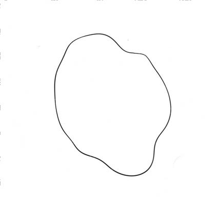 Picture of O Ring