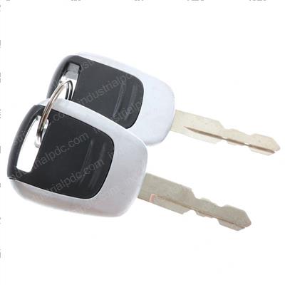 Picture of Key Assembly - Cabin