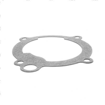 Picture of Gasket