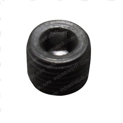 Picture of Plug - Pipe Hex Socket