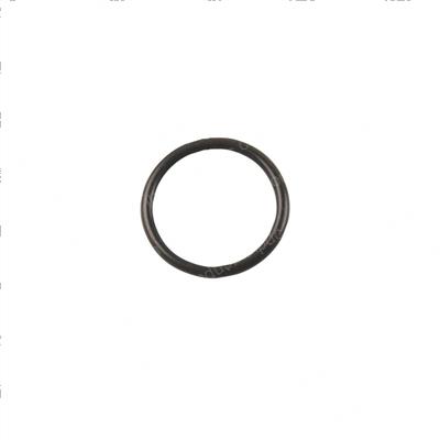 Picture of O-Ring