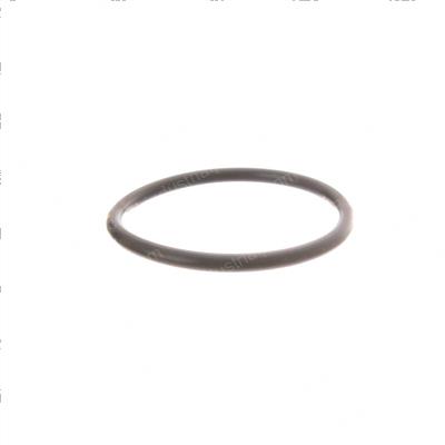 Picture of O-Ring
