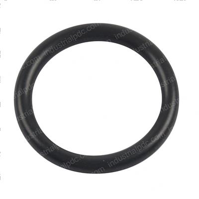 Picture of O-Ring
